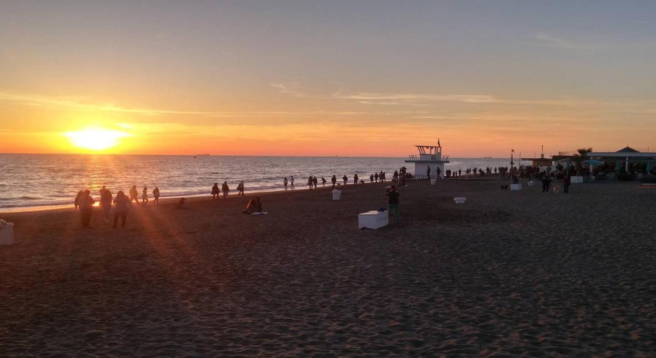 From Ostia Beach To Rome & Airport In A Heartbeat! Extérieur photo